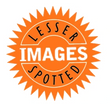 Lesser Spotted Images